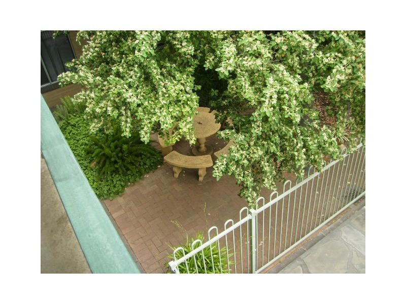 15/127 Anzac Highway, Kurralta Park SA 5037