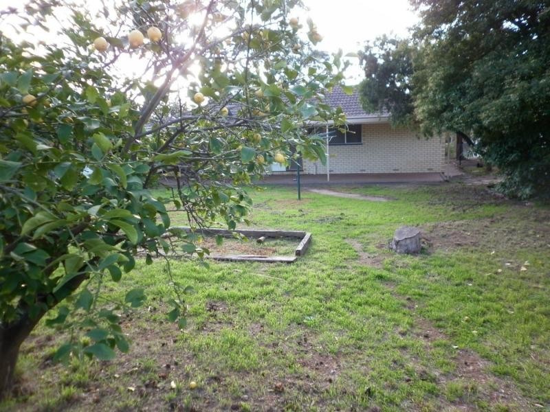 13 Jennifer Square, Evanston Park SA 5116