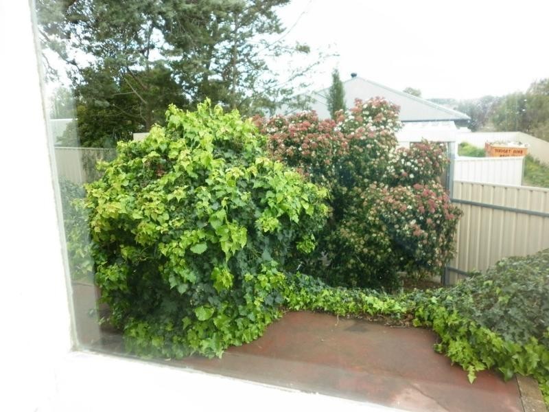 49 Jane Street, Willaston SA 5118