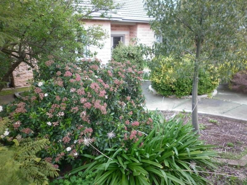 49 Jane Street, Willaston SA 5118