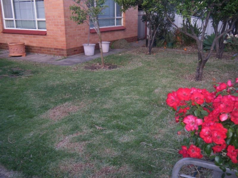 12 Fourth Street, Wingfield SA 5013