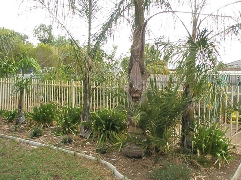 12 Stebonheath Square, Munno Para West SA 5115