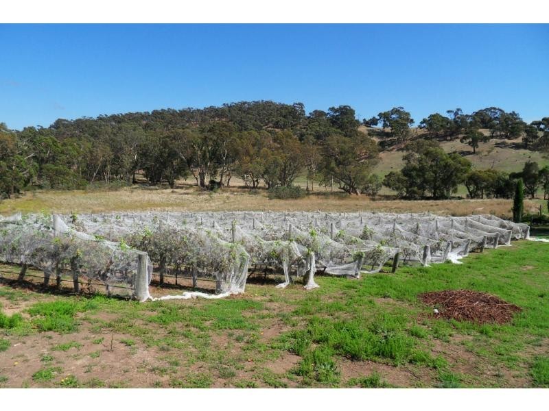 402 Deloraine Road, Kersbrook SA 5231