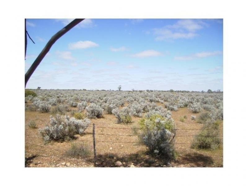 12 Cemetary Road, Morgan SA 5320