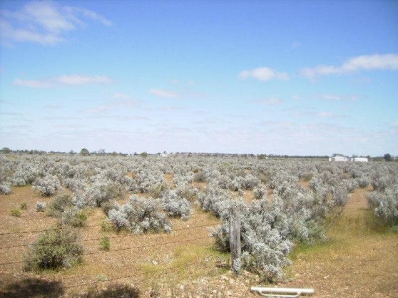 12 Cemetary Road, Morgan SA 5320