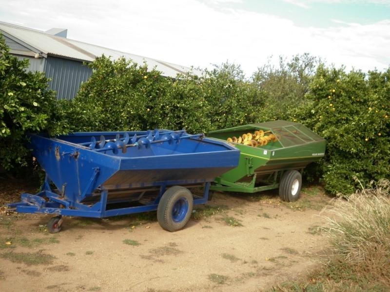 2 Angle Vale Road, Virginia SA 5120