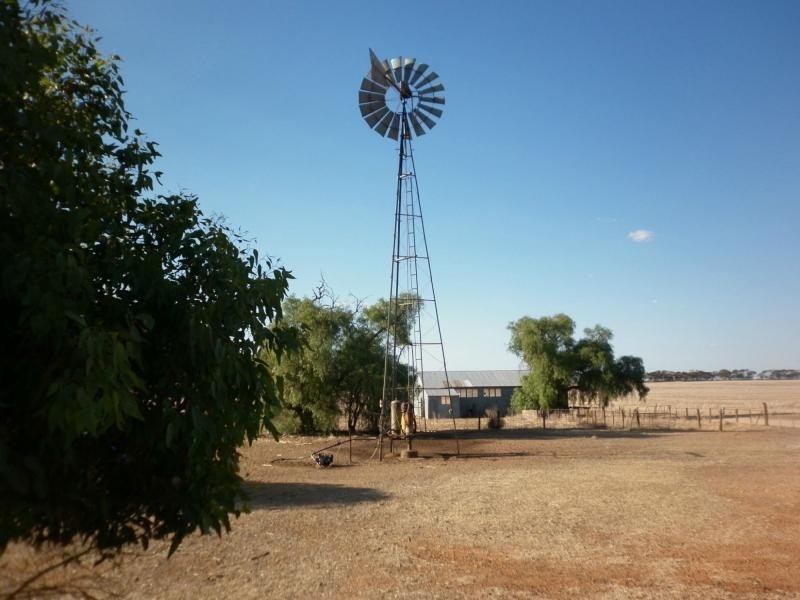 750 Loller Road, Karoonda SA 5307