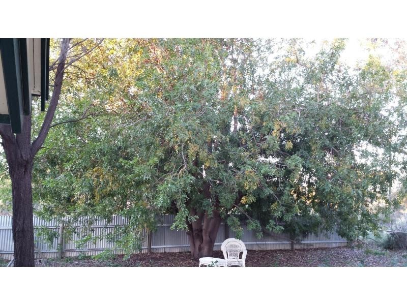 71 River Terrace, Cadell SA 5321