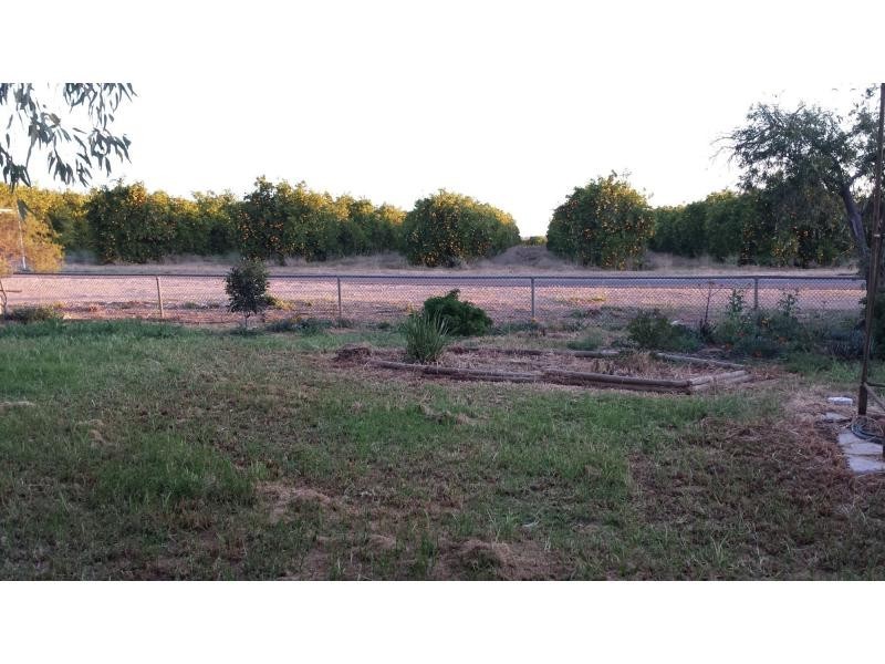 71 River Terrace, Cadell SA 5321