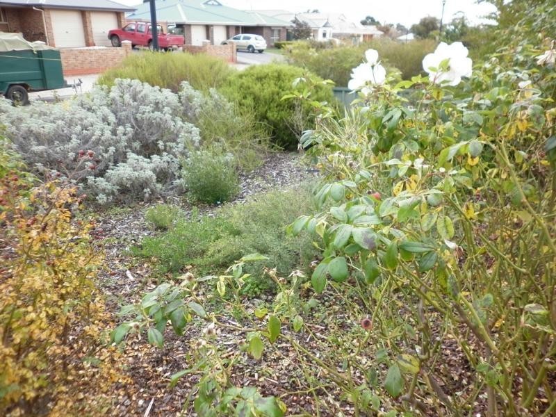 6 Selway Place, Evanston Park SA 5116