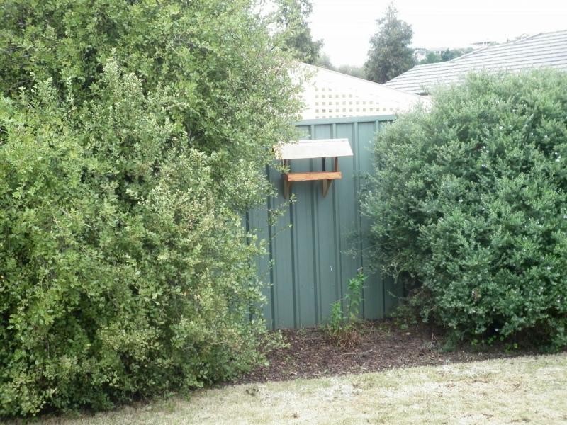 6 Selway Place, Evanston Park SA 5116