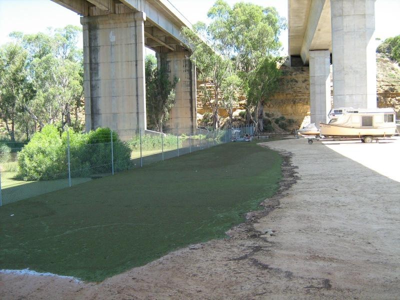 45 The Parade, Blanchetown SA 5357