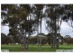 21 Gardiner Terrace, Maitland SA 5573