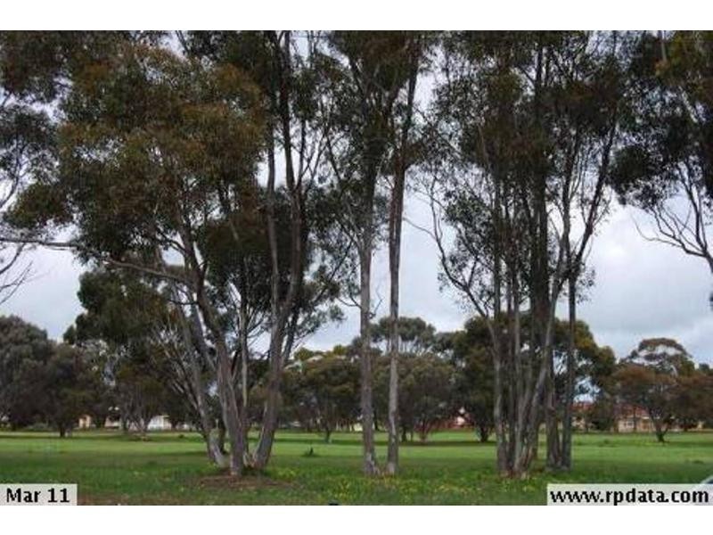 21 Gardiner Terrace, Maitland SA 5573