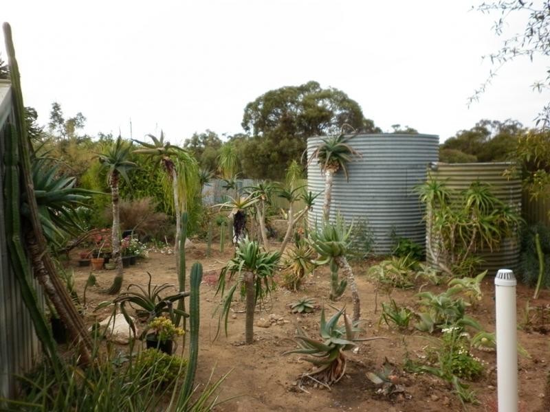 23 Railway Terrace, Peake SA 5301