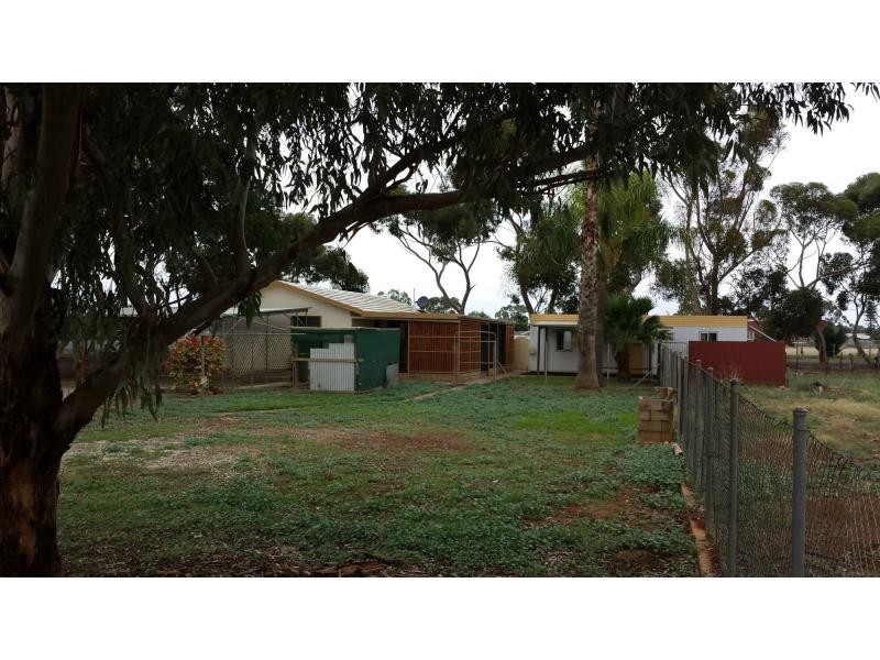 35 Badman Street, Hillier SA 5116