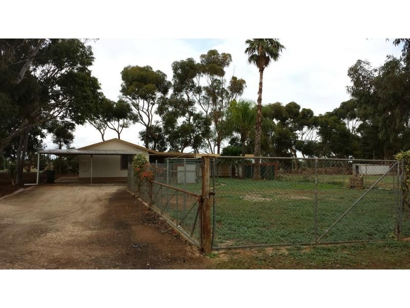 35 Badman Street, Hillier SA 5116