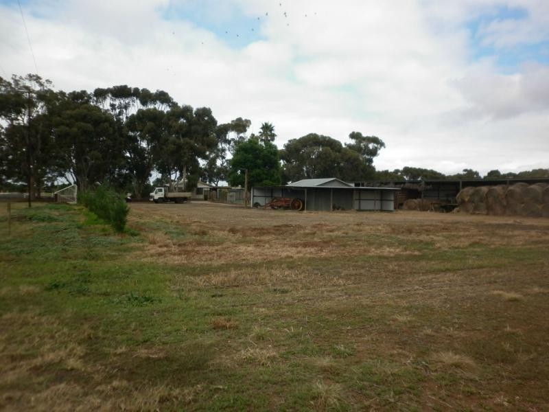 35 Badman Street, Hillier SA 5116