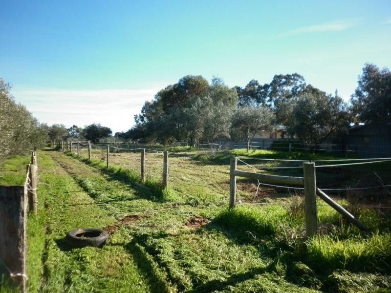 424 Stebonheath Road, Kudla SA 5115