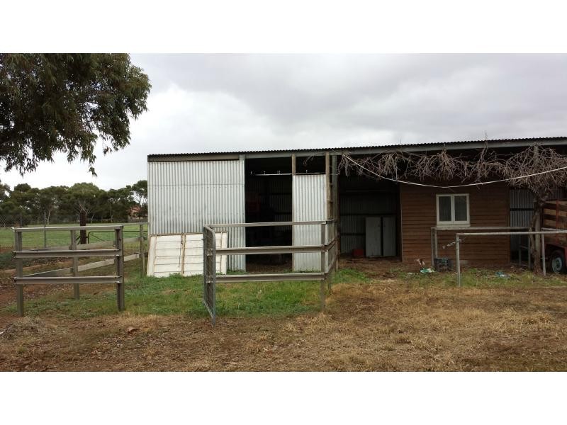 35 Badman Street, Hillier SA 5116