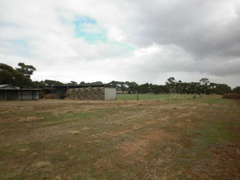 35 Badman Street, Hillier SA 5116