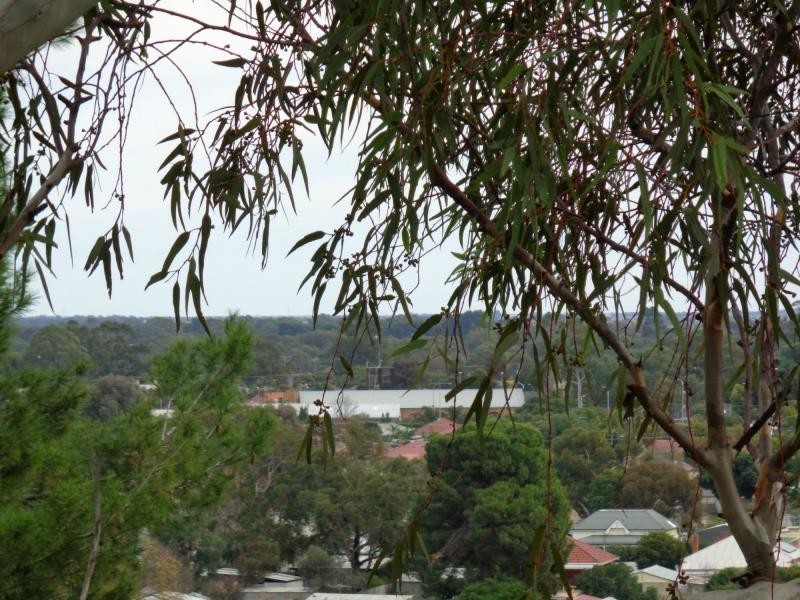 35 Gawler Terrace, Gawler South SA 5118