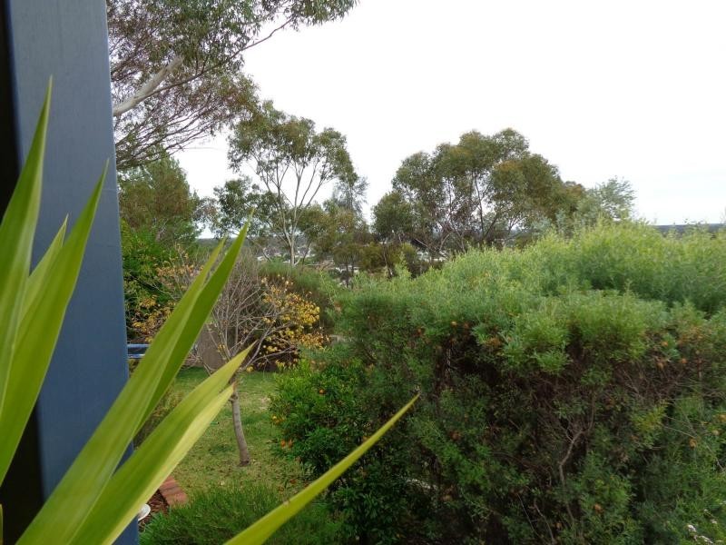 35 Gawler Terrace, Gawler South SA 5118