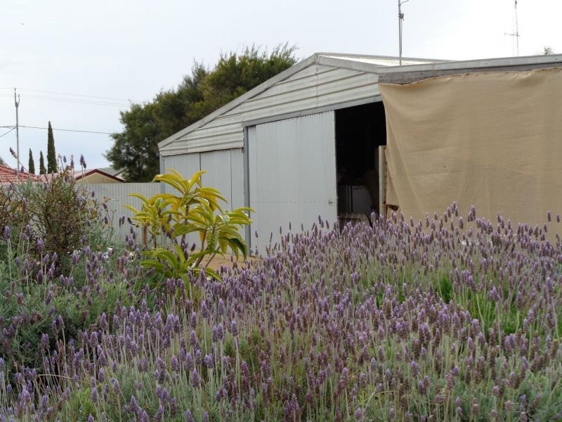 1 Thompson Street, Wallaroo SA 5556