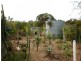 23 Railway Terrace, Peake SA 5301