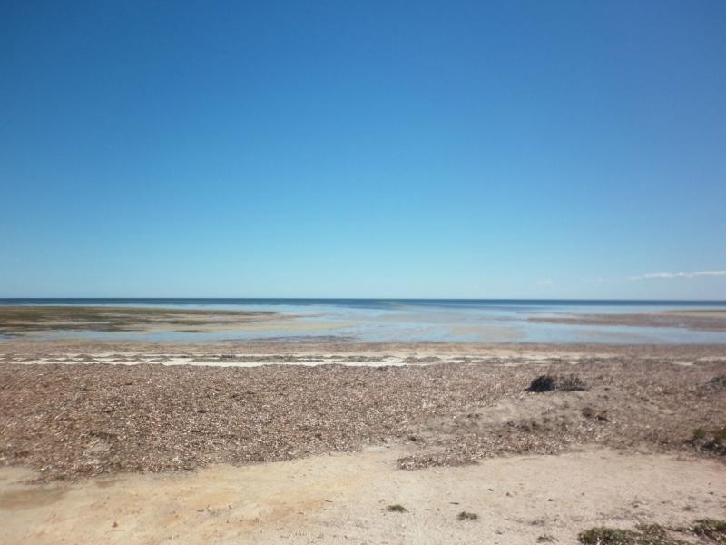 129 The Esplanade, Thompson Beach SA 5501