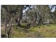 86 Docs Road, Blanchetown SA 5357