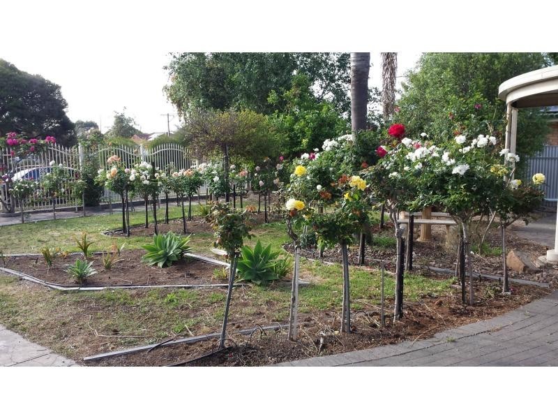 315 RAILWAY Terrace, Osborne SA 5017