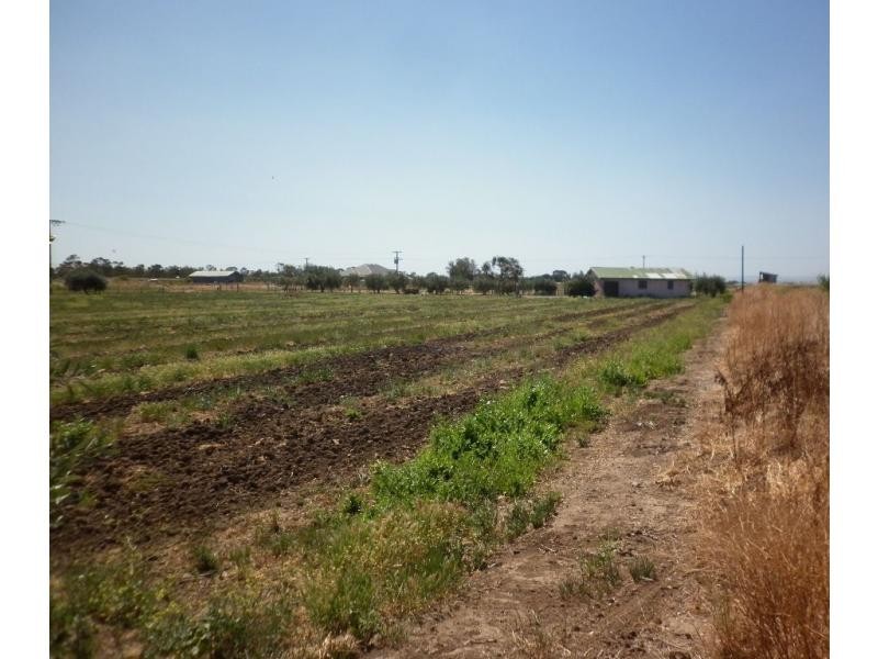 L179 JOHNS WEST ROAD, Virginia SA 5120