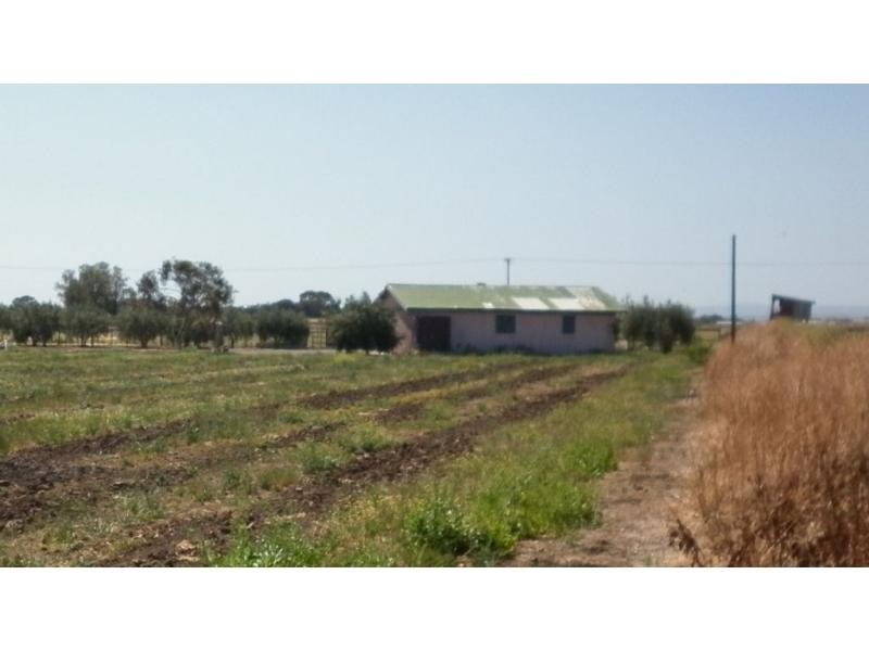 L179 JOHNS WEST ROAD, Virginia SA 5120