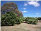243 LYNDOCH WILLIAMSTOWN Road, Lyndoch SA 5351