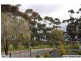 21 Gardiner Terrace, Maitland SA 5573