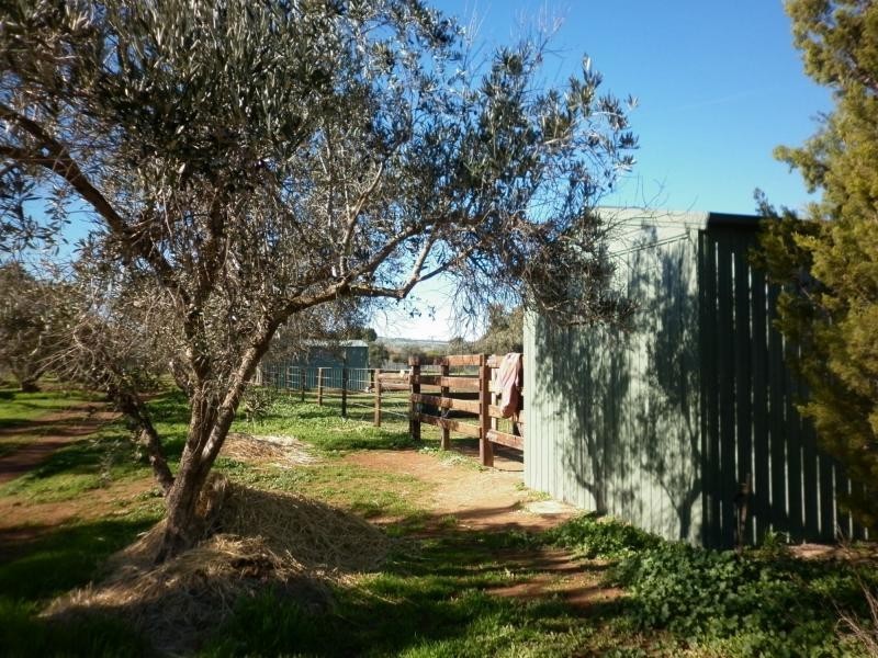 424 Stebonheath Road, Kudla SA 5115