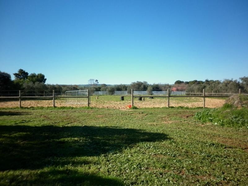 424 Stebonheath Road, Kudla SA 5115