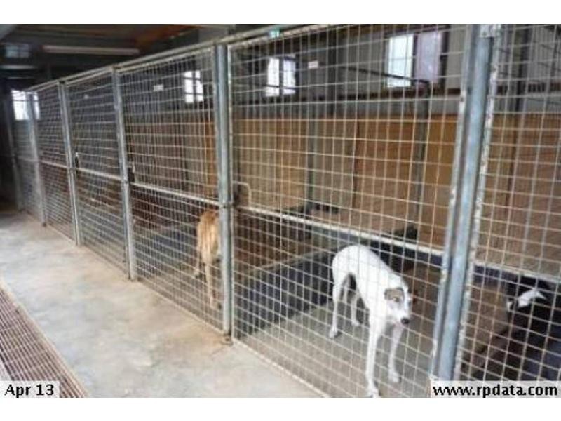 220 Hayman Road, Lewiston SA 5501