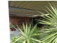 88 FIDDLEWOOD DRIVE, Freeling SA 5372