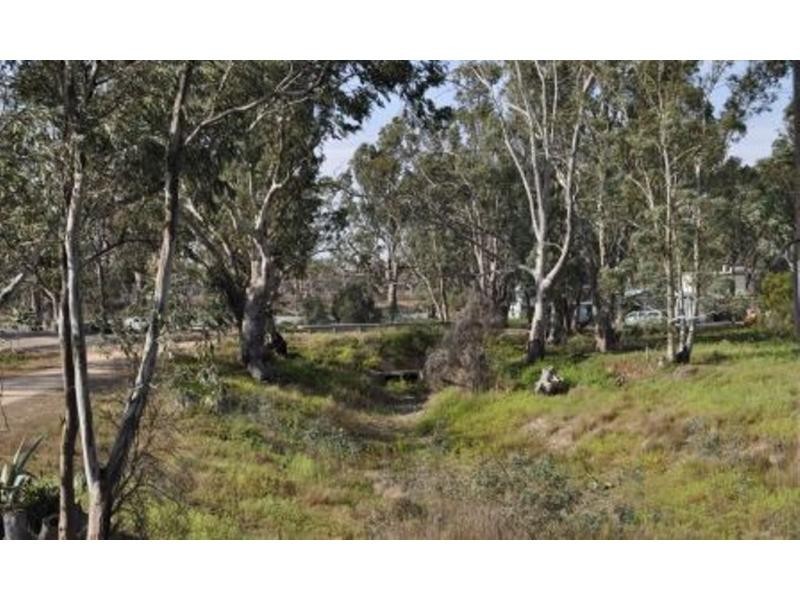 86 Docs Road, Blanchetown SA 5357