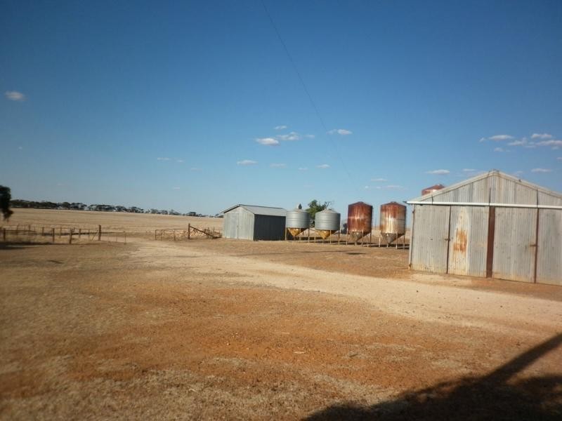 750 Loller Road, Karoonda SA 5307