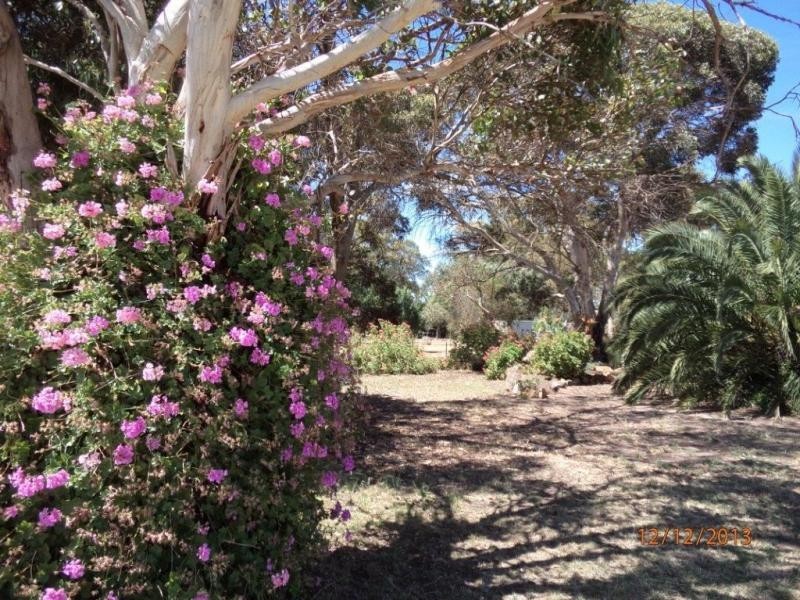 243 LYNDOCH WILLIAMSTOWN Road, Lyndoch SA 5351