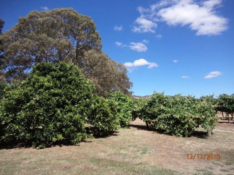 243 LYNDOCH WILLIAMSTOWN Road, Lyndoch SA 5351