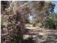 243 LYNDOCH WILLIAMSTOWN Road, Lyndoch SA 5351