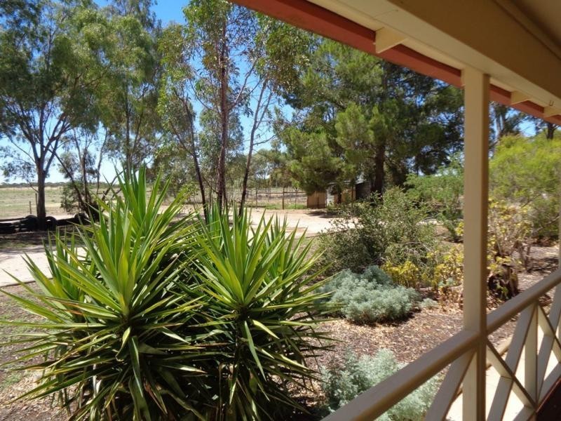 513 Day Road, Reeves Plains SA 5502