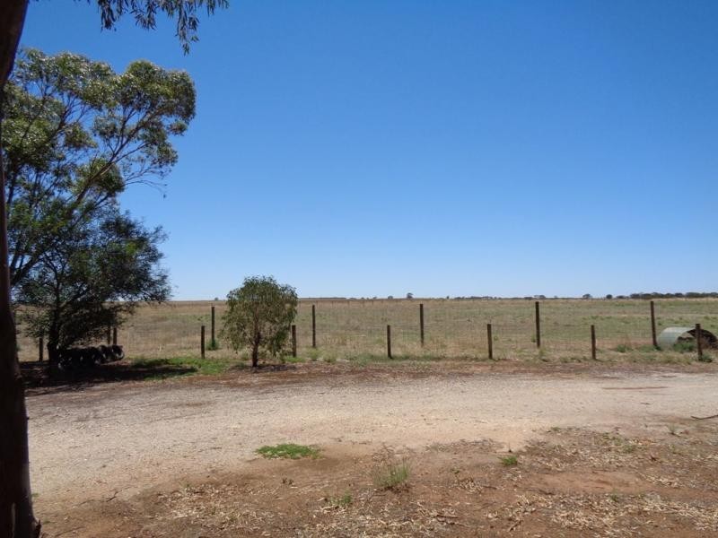 513 Day Road, Reeves Plains SA 5502