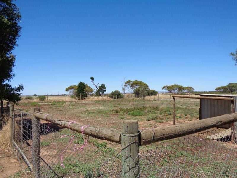 513 Day Road, Reeves Plains SA 5502