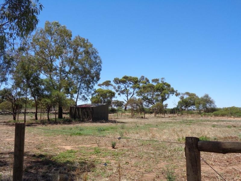 513 Day Road, Reeves Plains SA 5502