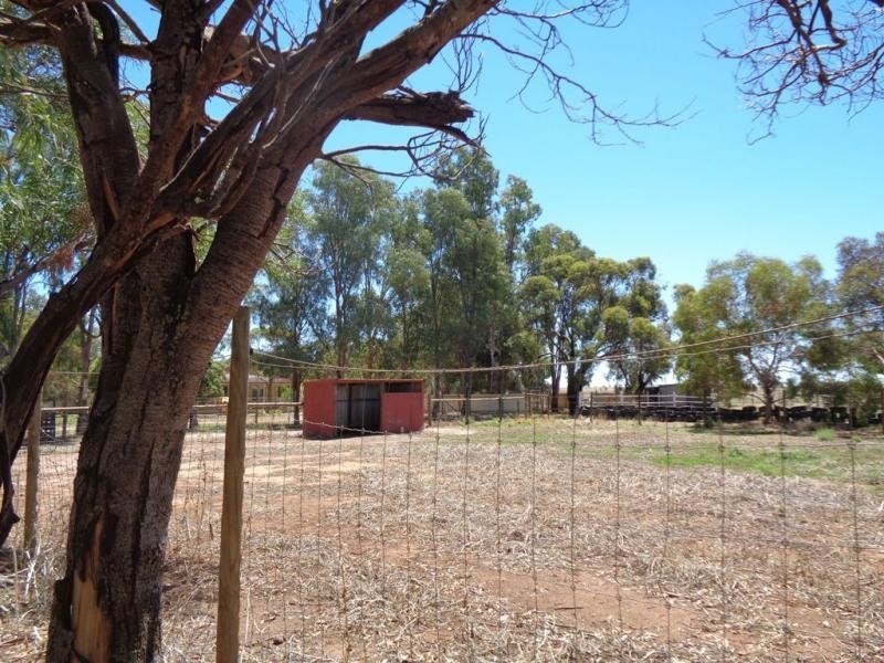 513 Day Road, Reeves Plains SA 5502